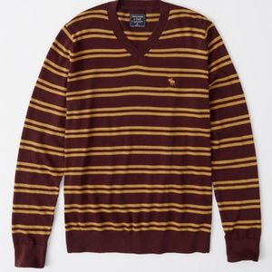 ABERCROMBIE & FITCH ICON V-NECK SWEATER